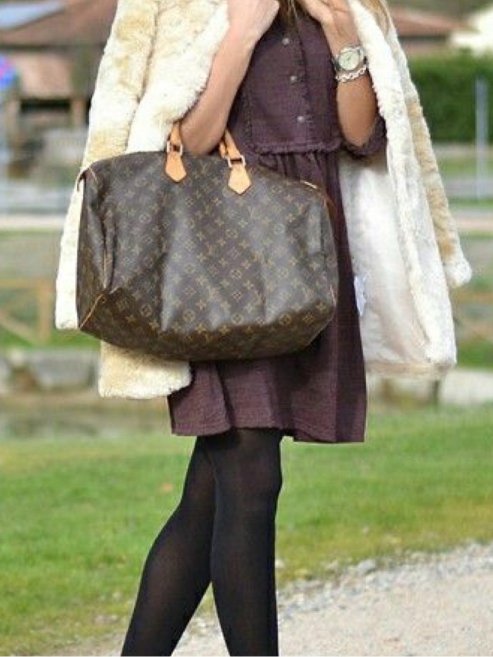 Louis Vuitton LV Handbag Monogram Speedy 40 with luggage tag